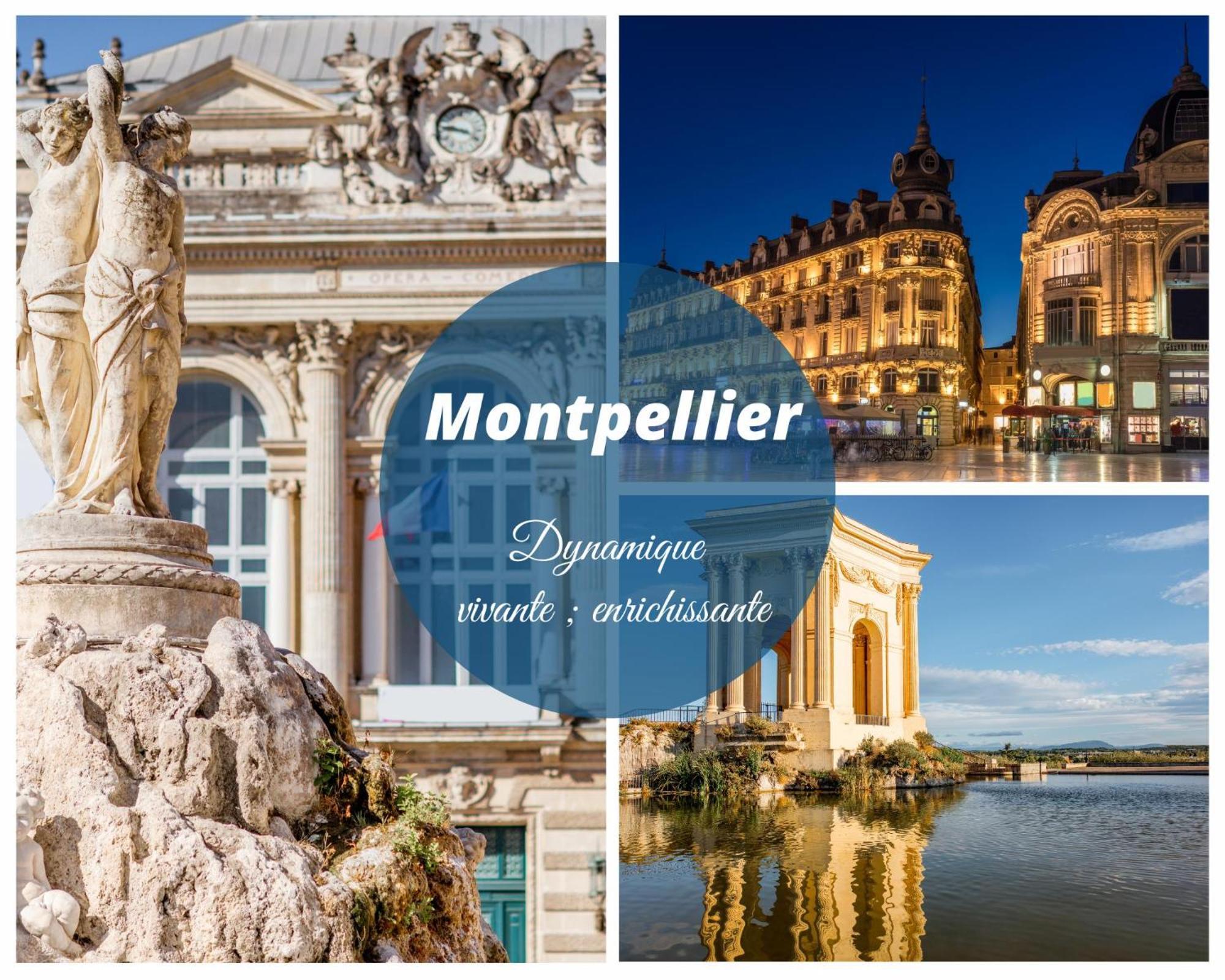 Guesthouse La Costiere - Logements Independants - Espace Piscine Jacuzzi 吕内尔 外观 照片